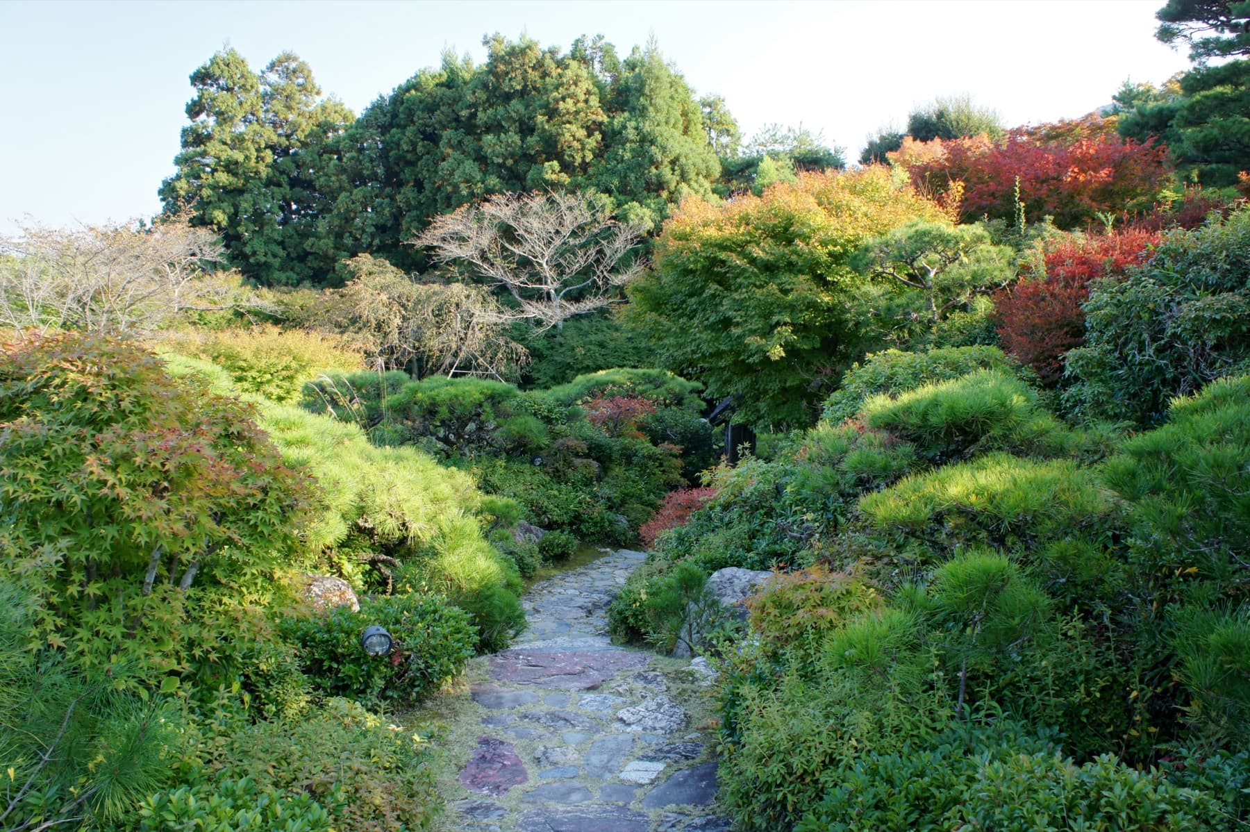 Stone path and autumn foliage inside Okochi Sanso Garden in Arashiyama Kyoto